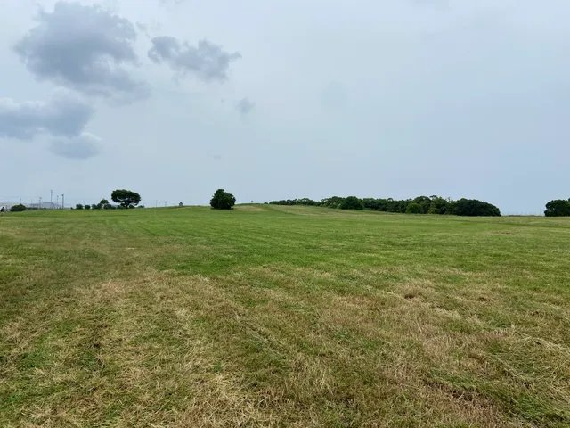 🌳 바다와 만남의 광장(우미 토 노 후레아이 히로바) 이미지 4